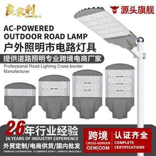 定制市政工程户外模组路灯新农村公路小区公园街道防水LED道路照