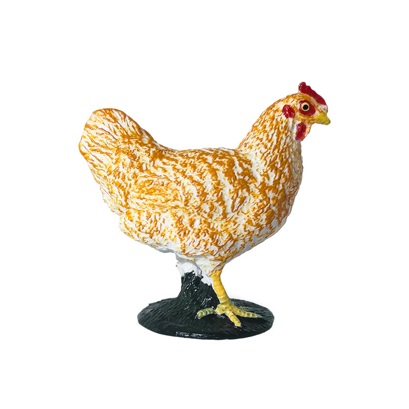 Venta caliente método antiguo de cultivo de peces adornos gallo junto al arroyo pollo jardín patio en maceta pecera paisaje acuático micro paisaje rocalla