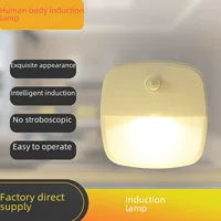 Smart induction LED lantern for bed, physiological battery, night light, human sensor, wholesale