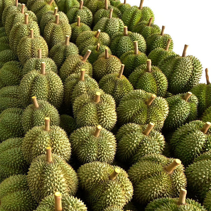 Durian wholesale Golden Pillow fresh Entire fruit Slap Elvis Presley Independent On behalf of Manufactor