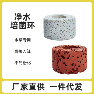 Water grass cultivation ring fixed ring bottom ring water grass ring filter ring fixed ring fish tank bottom filter ring for new hands