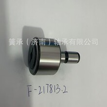  F-217813.2 ±_mӡˢCLS _Sϵ