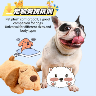 ��ཌ�����������ë�q��ߐ���    for Dogs����l���ڰ�������