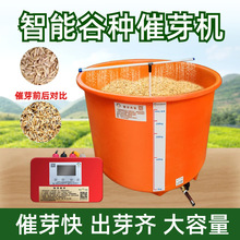 恒温桶稻种水稻种子全自动小麦水稻催芽机育秧发芽器加热器泡