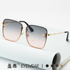 Fashionable sunglasses, 2023 collection, European style