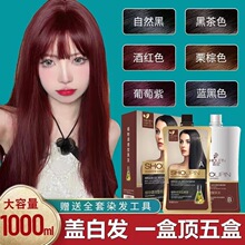 1000ML�������h�͸�Ⱦ�l˪���غ�ɫȾ�l��tɫ������Ȼֲ��Ⱦ�l��