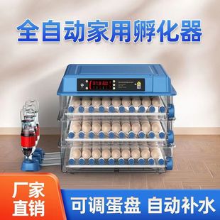 Small Intelligent Incubator Chicken Fully Automatic Incubator Household Fully Automatic Egg Incubator
