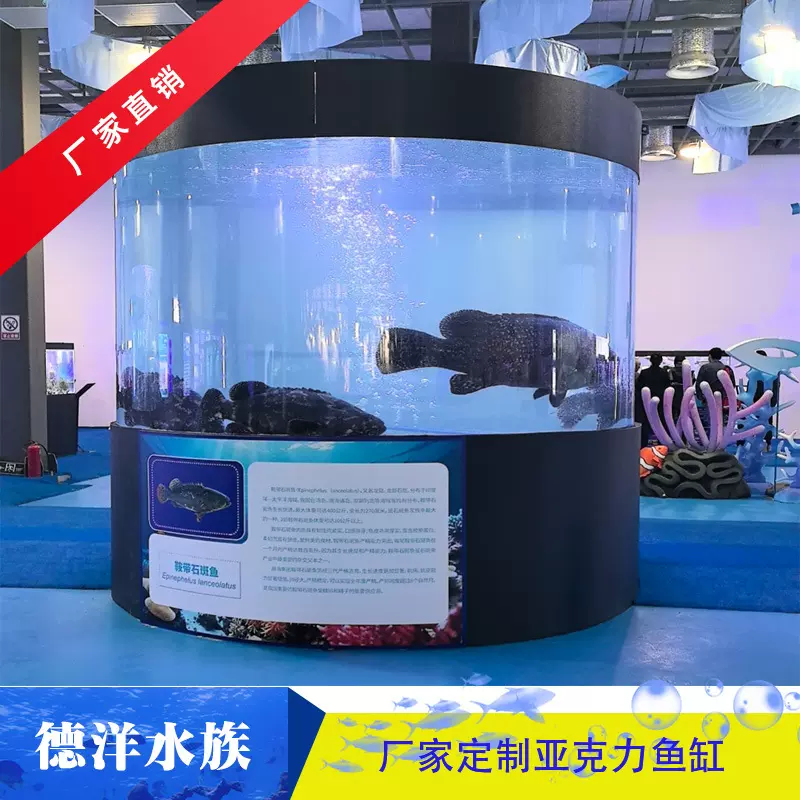 大型观赏龙鱼缸制作厂家 亚克力水族箱 鱼池玻璃视窗超白玻璃