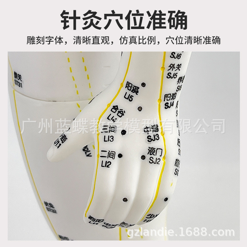 85CM��Ƥ�뼡������������Ѩλ����ģ��ȫ����ҽʮ������ͼͭ��