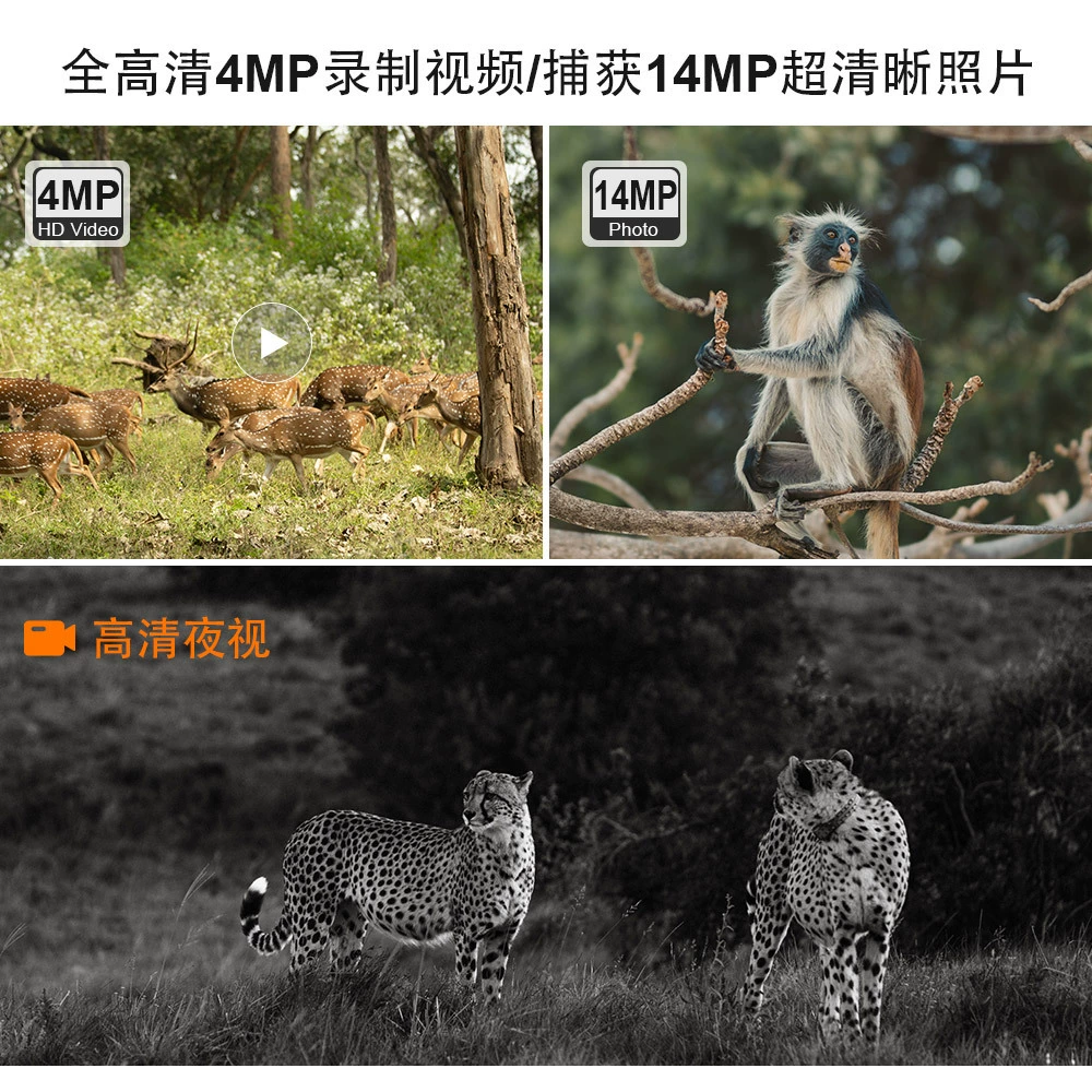 CCTV camera solar-powered, camouflage wireless monitor, mobile phone, for import, 4G, 4m