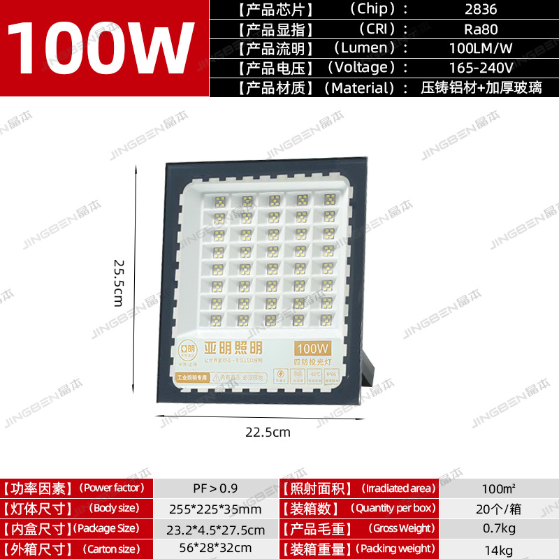 Project payment -100W