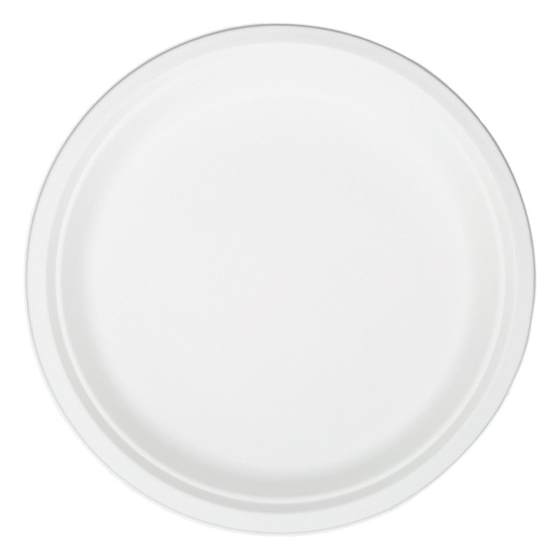 Cross-Border Foreign Trade Disposable Paper Plates, Thickened White Large Paper Plates, Barbecue Cake Plates, Kindergarten DIY Materials