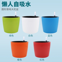 ���ˈA�����ϻ��脓���@ˮλ�����҃��⻨���Ԅ���ˮ�Gֲ����