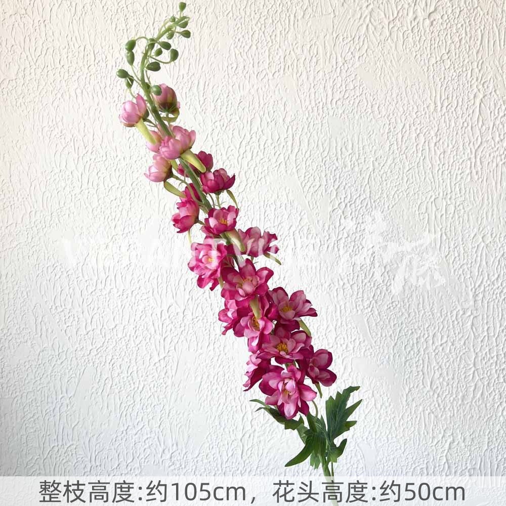 Rose red flying swallow no. 4