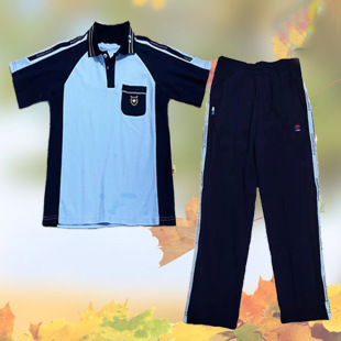 Nanning school uniforms primary and secondary schools summer blue sports uniforms wholesale autumn sportswear spot a generation of hair