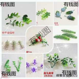 ���ֹ�DIY������ϼ��r���Y������پGֲ�~��ɳ�P�쾰