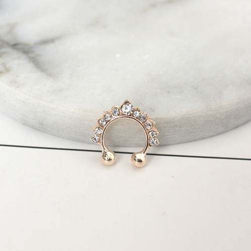 Famous Earrings for Women  New Arrival Fashion Accessory from Dongdaemun, Korea - Elegant Bone Stud Earrings with Nose Ring