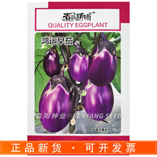 �頖˹�D ���\���јO�����ϼt�������s��t�����s���N������Ŵ��