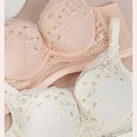 桑蚕丝8233#桑蚕丝中厚AB杯32-38内衣聚拢上托三排扣文胸尾货批发