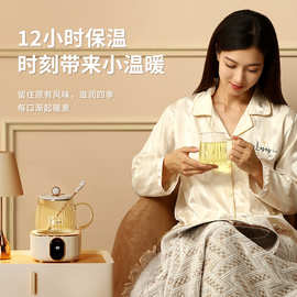 ceool总裁小姐 电炖杯家用养生壶多功能办公室电热水壶小型烧水杯