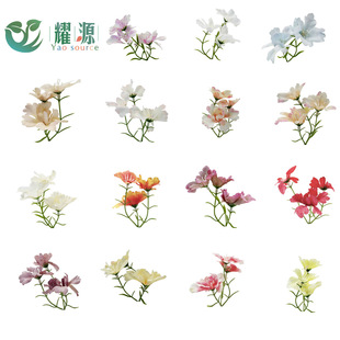 ���滨�����m�� ���wϵ���쾰С�[�������ֹ����^����С�m�����l