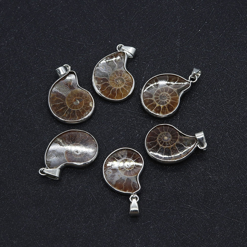 Snail Shape Fossil Edge Pendant 10x 15-20x 35mm silver Melon Buckle Pendant DIY Vintage Keychain