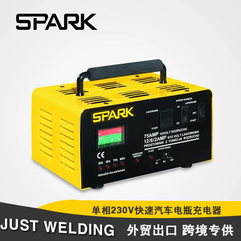 Одиночная фаза 230V SPARK внешней торговли трансграничного поиска Горячая быстро экспорт заряжателя батареи автомобиля профессиональный