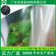 ڰ͸͸ߜزzλPet|pӱoĤWyPEToĤ