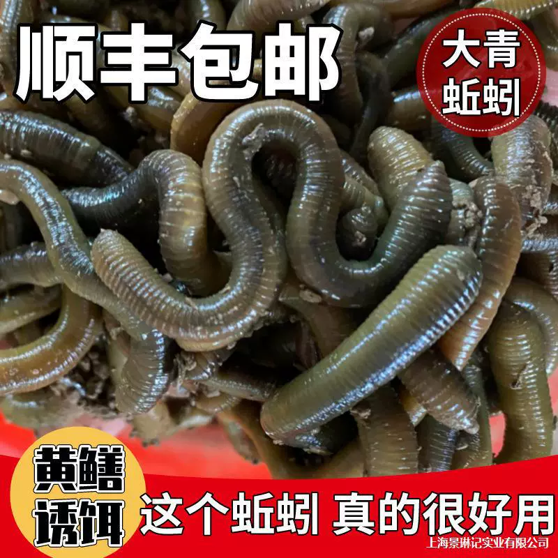 Оптовая редкостная черная земляworm живая наживка рыбалка желтая земляworms черная свежая вонючая зелёная земляworm наживка
