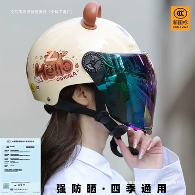 Auto Parts and Accessories: Universal Double Visor Summer
