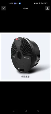 High-Power Heavy Bass, Hidden Installation – Car speaker/subwoofer
