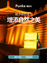 led������������ˮ��ɫͶ��������՘�����@�߲�׃ɫ�۹��