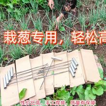 �t������عϲ����¿��߲˷Nֲ���߲���ƽ�Բ����[�������������