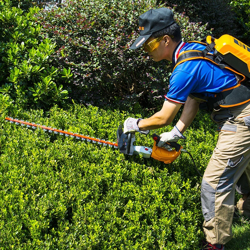 充电式修枝机绿篱机采茶机电动茶树修剪机重修王园艺剪剪枝
