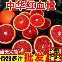 秭归中华红血橙卡拉红橙手剥橙脐橙甜橙水果多汁果冻橙现摘现发