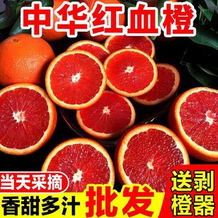 ���w���A�tѪ�ȿ����t��Ě�����ˮ����֭�����ȳ����r���t��Fժ