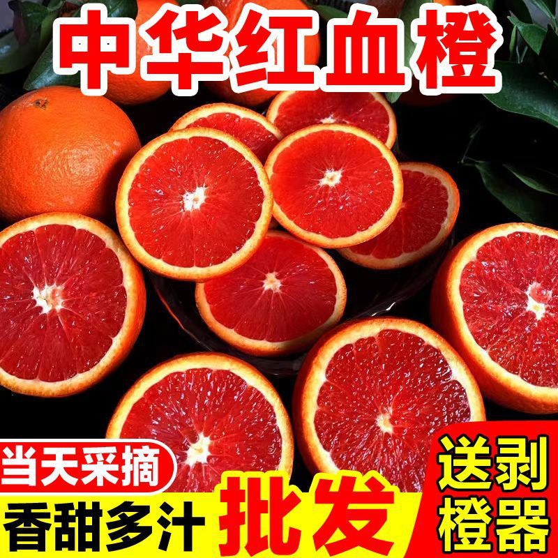 秭归中华红血橙卡拉红橙手剥橙脐橙甜橙水果多汁果冻橙现摘现发