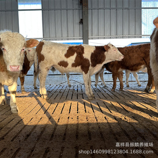 ��ţ���������Sţ���l���T����ţ��r����ľٝţ��ţ��