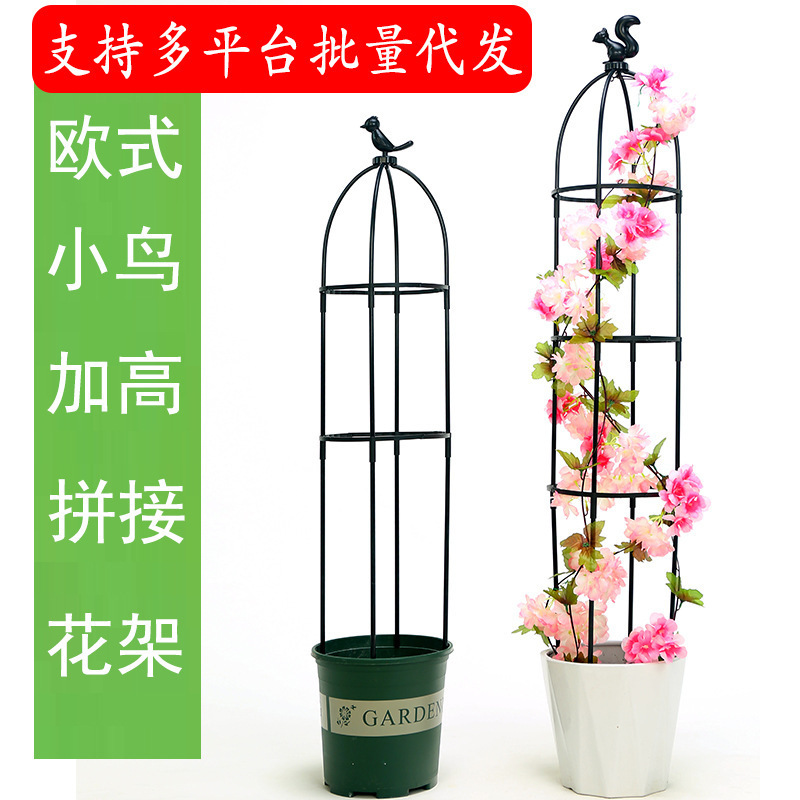 昙花支架月季花架园艺爬藤花植物铁线莲紫藤攀爬阳台撑欧式花