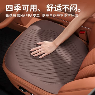 All Seasons Seat cushion, seat cover