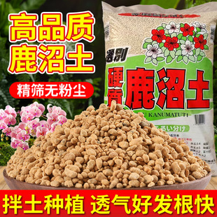 Japanese Dew Swamp Soil Hard Succulent Paving Azalea Special Micro-Acid Potted Dew Swamp Soil Nutritional Granular Planting Soil