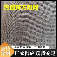多规格铁丝网防蚊虫窗纱8mesh1418镀锌方眼平纹编织网筛沙专用