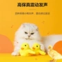 发声电动逗猫毛绒玩具