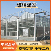 物联网控制系统玻璃温室 水培连栋温室建设 智能玻璃温室大棚