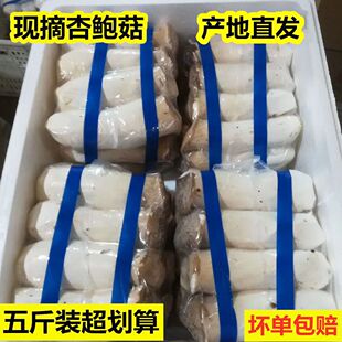 ���U�����r�u�ȹ��������Ģ���߲˾���