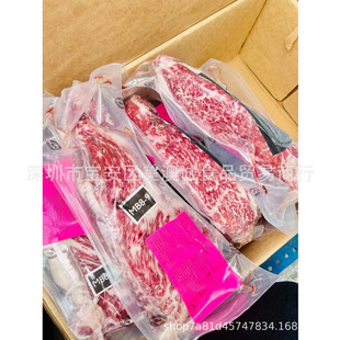 ����203�S̴���ţԭ�������� ����ţ�ؿ������������Ƭ��ţ��