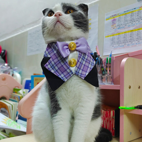 Cross-border new pet cat and dog suit, gentleman wedding, spit cloth, bow tie, triangle scarf, Korean Japanese style, Instagram