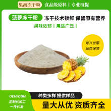 冻干菠萝粉FD菠萝粉食品级固体冲调烘焙原料菠萝冻干粉