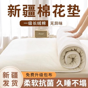 Xinjiang Cotton Mattress Mattress Cotton Cushion for Dormitory Students Single Folding Thickened Cushion Household Cotton Cushion
