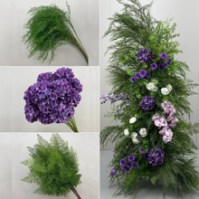 ɭϵ������c�b�ӆ����滨�T�쾰�������þW�t���J���ݻ���